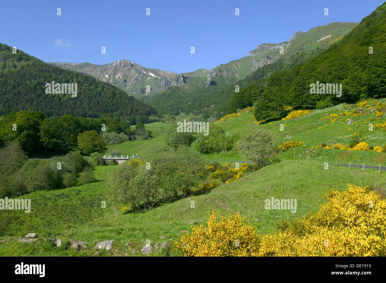 Valle di Chaudefour Riserva Naturale, Sancy montain, Monts Dore, vulcani Auvergne parco naturale, Puy de Dome, Auvergne, Francia Foto Stock