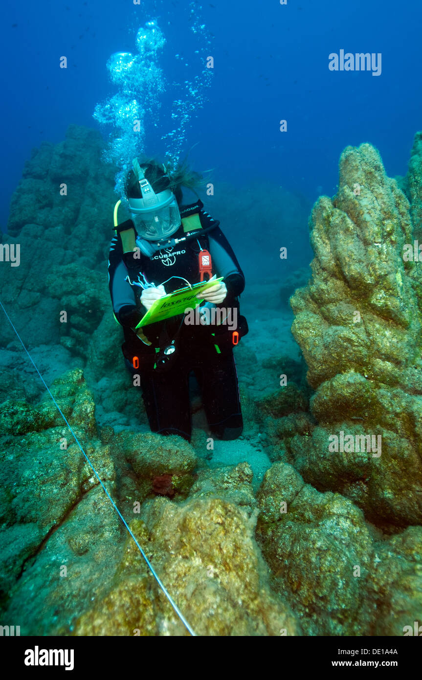 Il biologo marino misurazione su un secare in un Area Marina Protetta Baia di Gokova Turchia mediterraneo Foto Stock