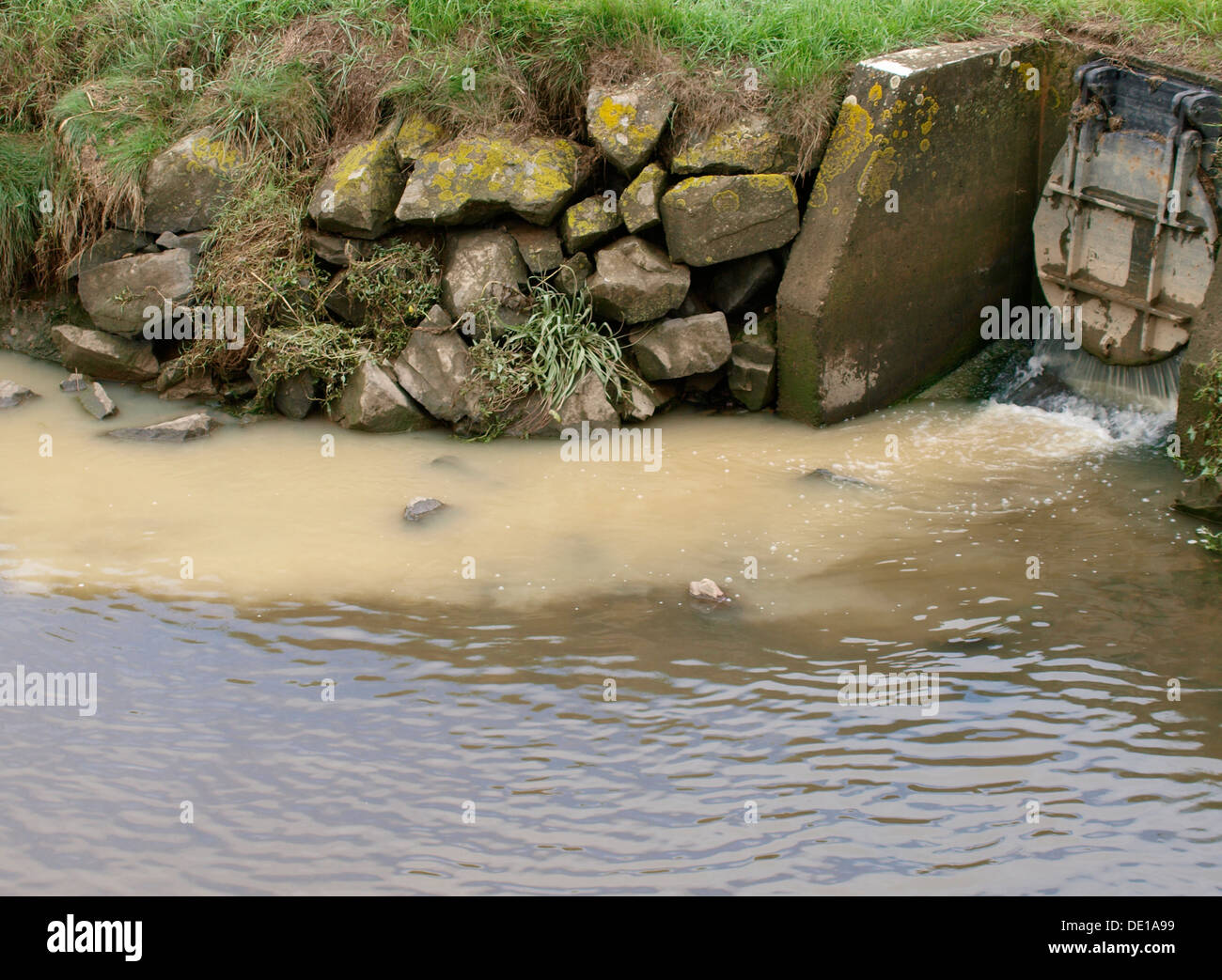 Acqua di pioggia da una tempesta di svuotamento di scarico in un fiume, il fiume Neet, Bude, Cornwall, Regno Unito 2013 Foto Stock