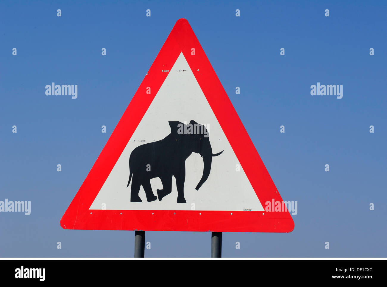 Trasporti / trasporto, cartello stradale, segno 'attenzione gli elefanti', sulla strada, Caprivi, Namibia, Additional-Rights-Clearance-Info-Not-Available Foto Stock