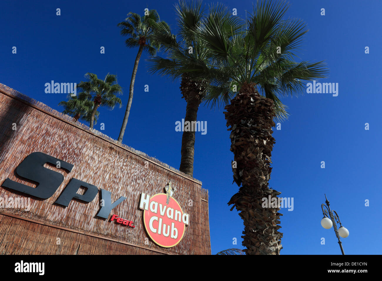 Cipro, Larnaca, Havana club, pubblicità, palme Foto Stock