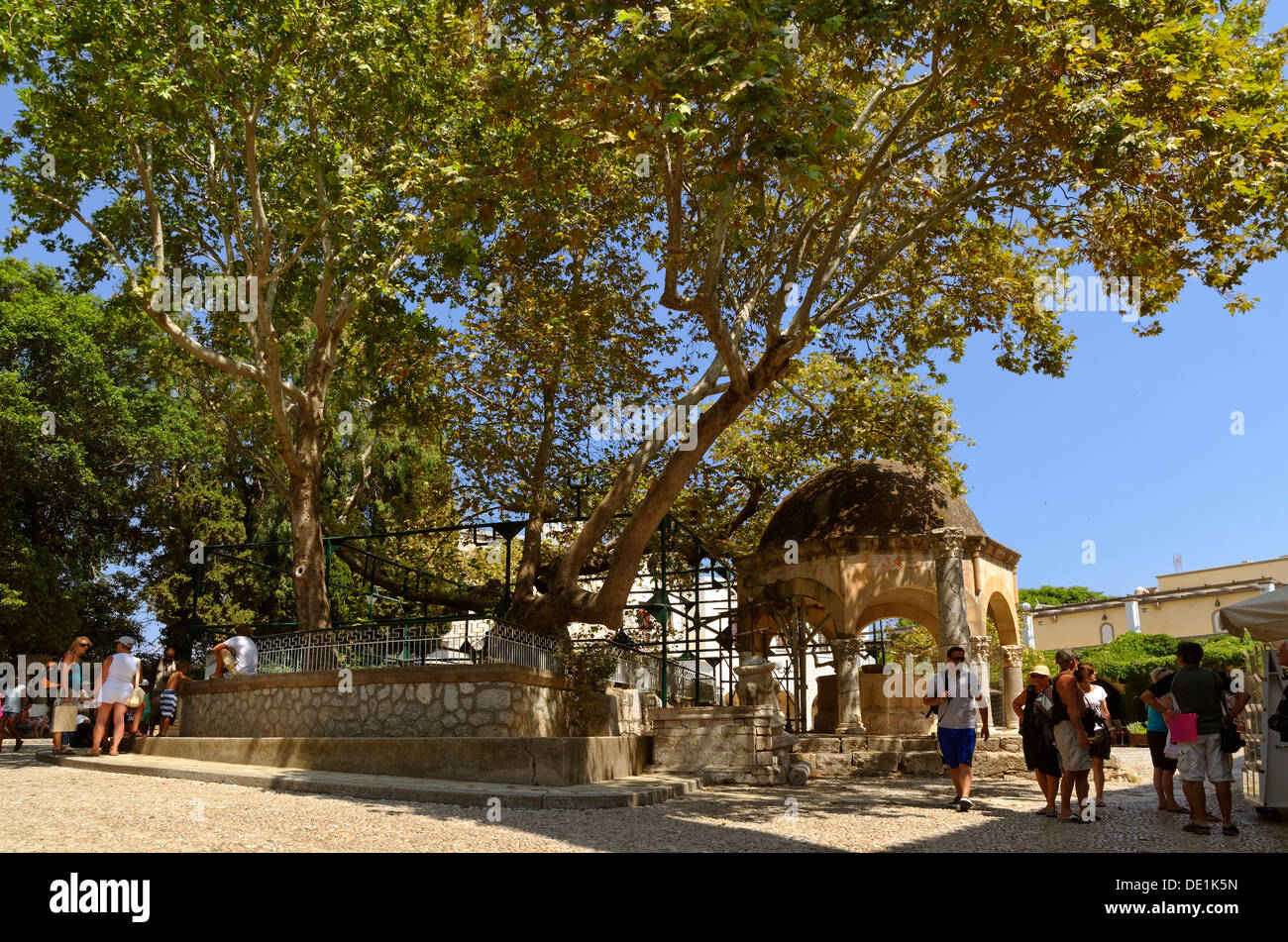 Ippocrate Plane Tree e moschea font alla città di Kos, isola di Kos, Dodecanneso Isola Gruppo, Grecia. Foto Stock