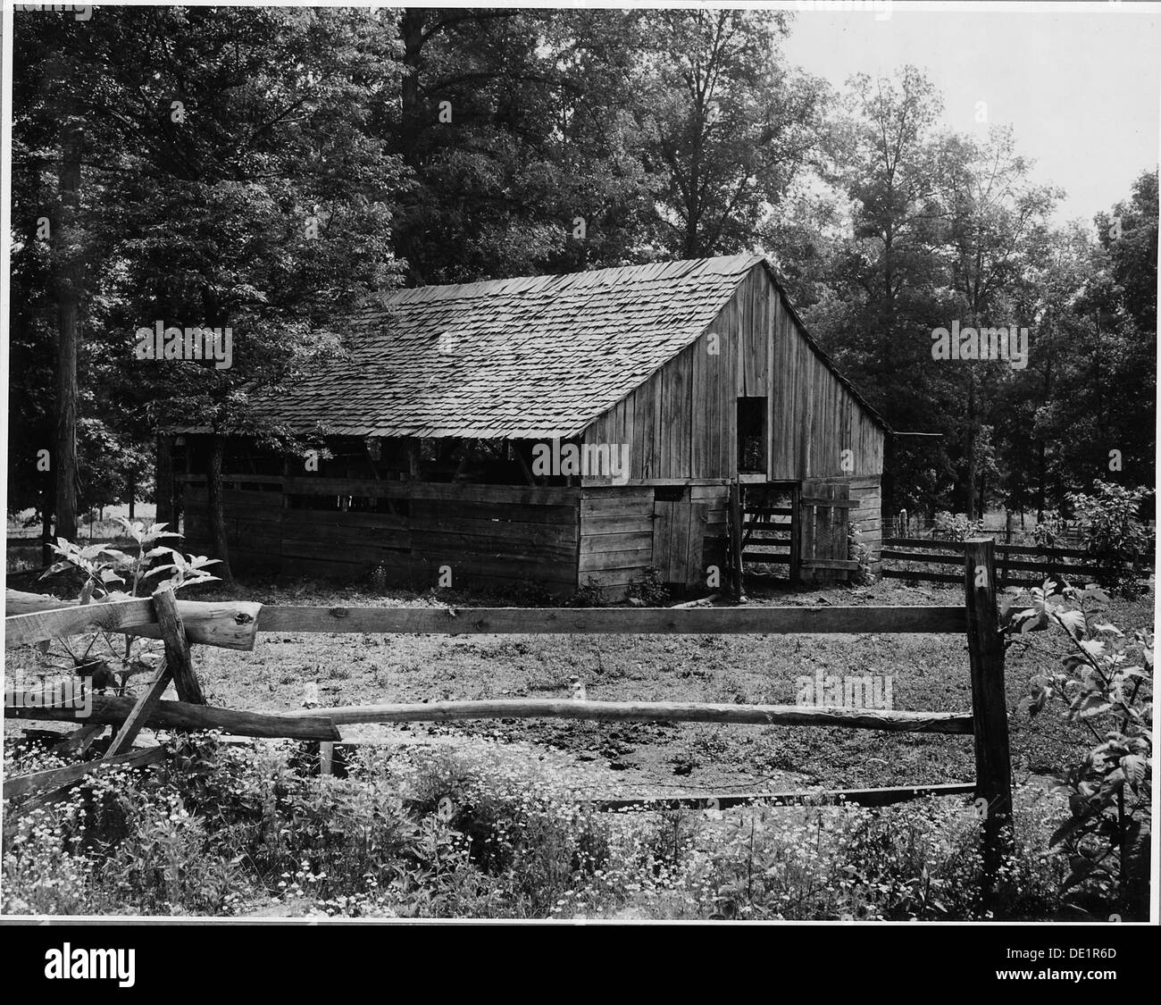 Una fotografia raffigurante la Harmony Community nella contea di Putnam, Georgia, che mette in evidenza le condizioni di vita degli operatori bianchi della zona, alcuni dei quali sono descritti come baracche, fornendo una visione storica della vita rurale all'inizio del XX secolo. Foto Stock