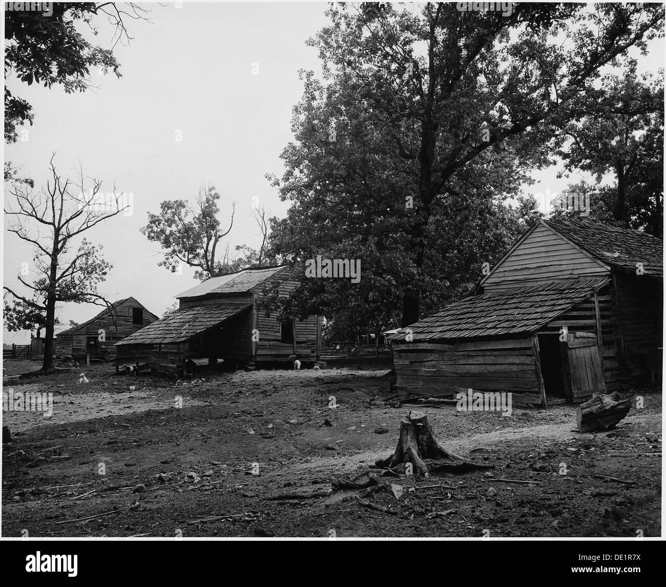 Questa fotografia raffigura la Harmony Community nella contea di Putnam, Georgia, che mostra le condizioni di vita degli operatori bianchi, che variavano da alloggi modesti a alloggi inferiori agli standard. Foto Stock