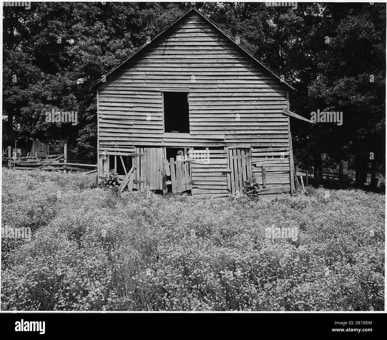 Harmony Community nella contea di Putnam, Georgia, dove le condizioni di vita degli operatori bianchi variavano da piccole baracche a abitazioni più consolidate. Questa immagine riflette le condizioni socioeconomiche della regione durante il periodo. Foto Stock