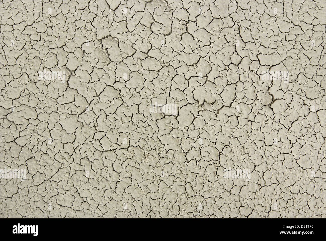 Dettaglio di incrinate aridità del suolo texture di massa Foto Stock