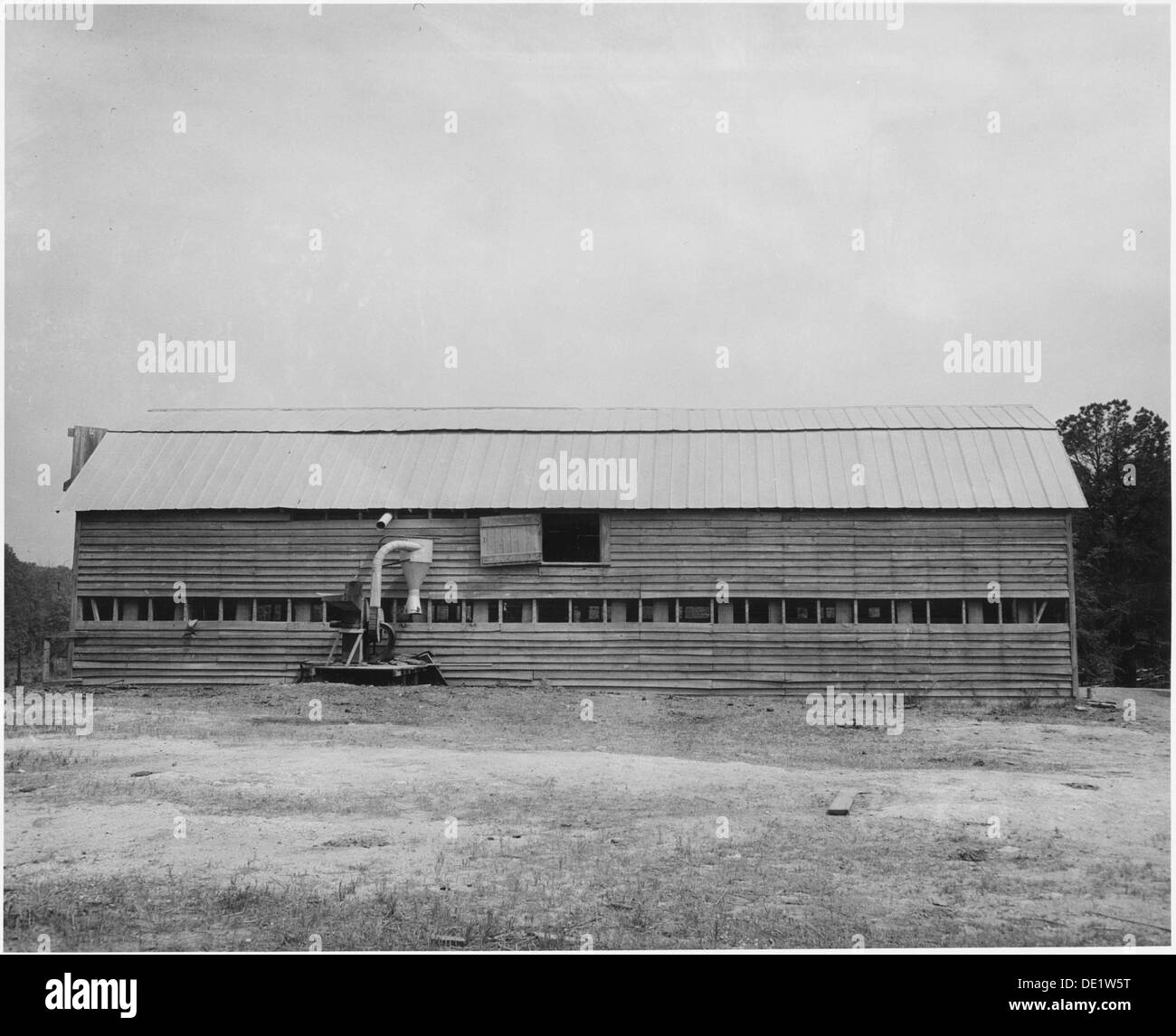 Questa fotografia mette in evidenza la Harmony Community nella contea di Putnam, Georgia, dove la diga rimane un'attività economica vitale per i proprietari-operatori locali. L'immagine sottolinea l'importanza dell'agricoltura nella Georgia rurale. Foto Stock