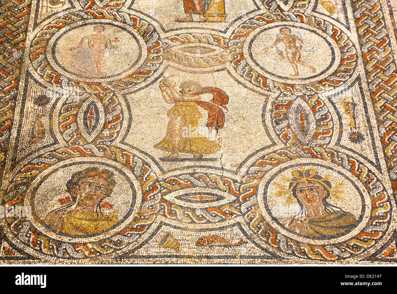 Belle arti, mondo antico impero romano, Volubilis, città romana, mosaico, Marocco, artista del diritto d'autore non deve essere cancellata Foto Stock