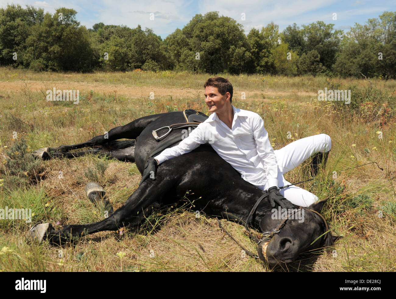 Il giovane e il suo stallone nero in un campo Foto Stock