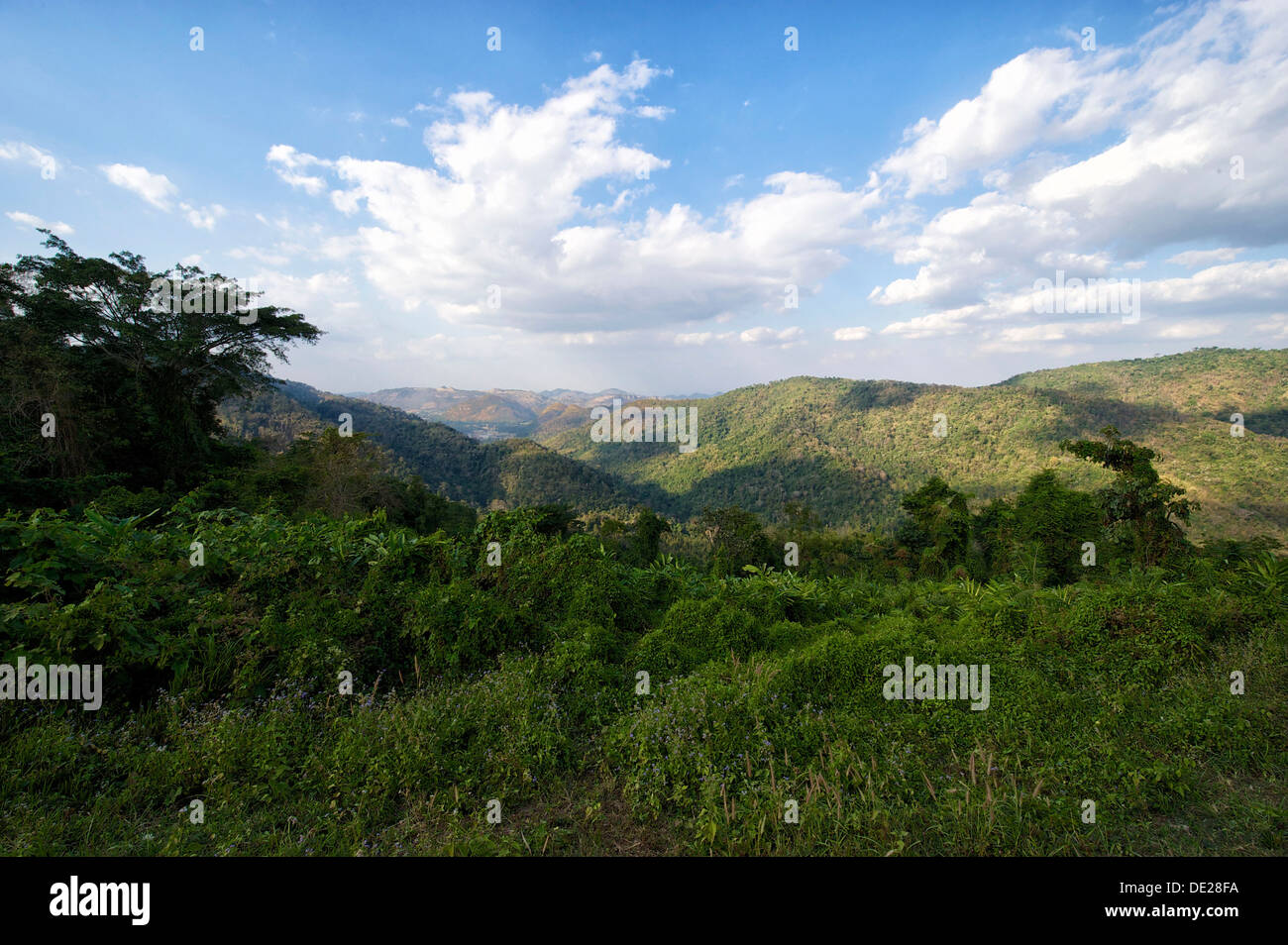 Paesaggio della giungla, la foresta vergine, Khao Yai Nationalpark, Prachinburi, Nakhon Ratchasima, Thailandia Foto Stock