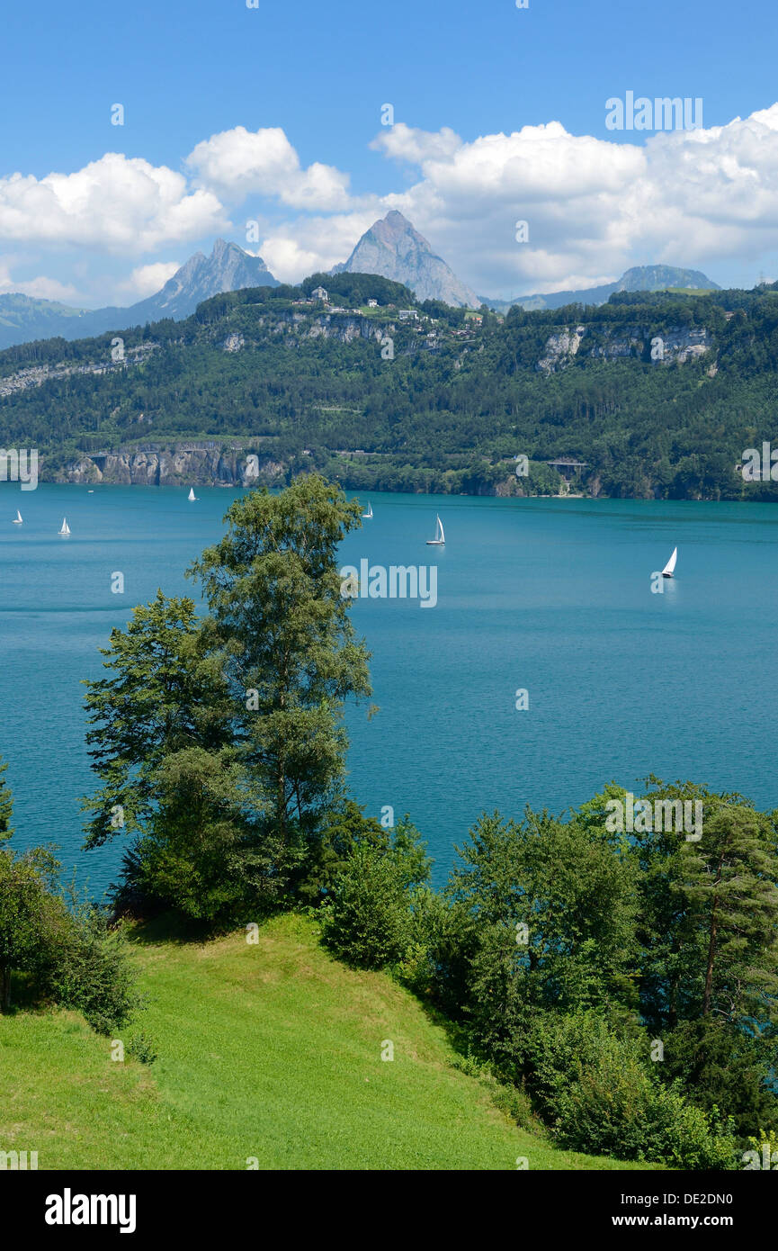 Ruetli, il sito di fondazione della Svizzera con la Kleiner Mythen e Grosser Mythen montagne, Brunnen, Svizzera, Europa Foto Stock