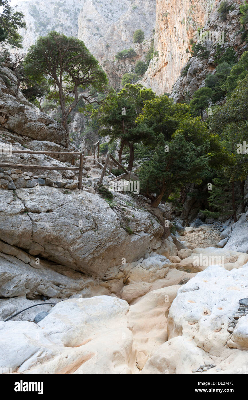 Sentiero escursionistico con una ringhiera di legno, alberi sparsi, lecci (Quercus ilex), il letto asciutto del torrente, levigata liscia con rocce bianche Foto Stock