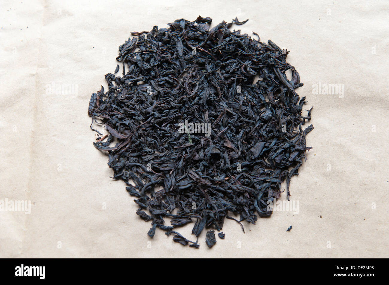 Tè nero, Broken Orange Pekoe BOP, Ceylon, Gampola, Kandy Distrikt, Zentralprovinz, Sri Lanka Foto Stock