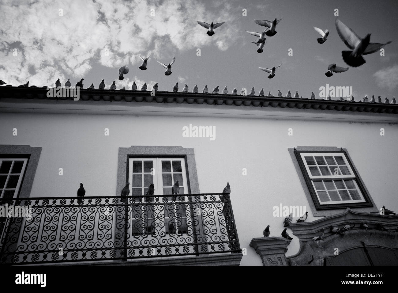 Le colombe volare da un tetto in una tipica casa portoghese di Oporto, Portogallo Foto Stock