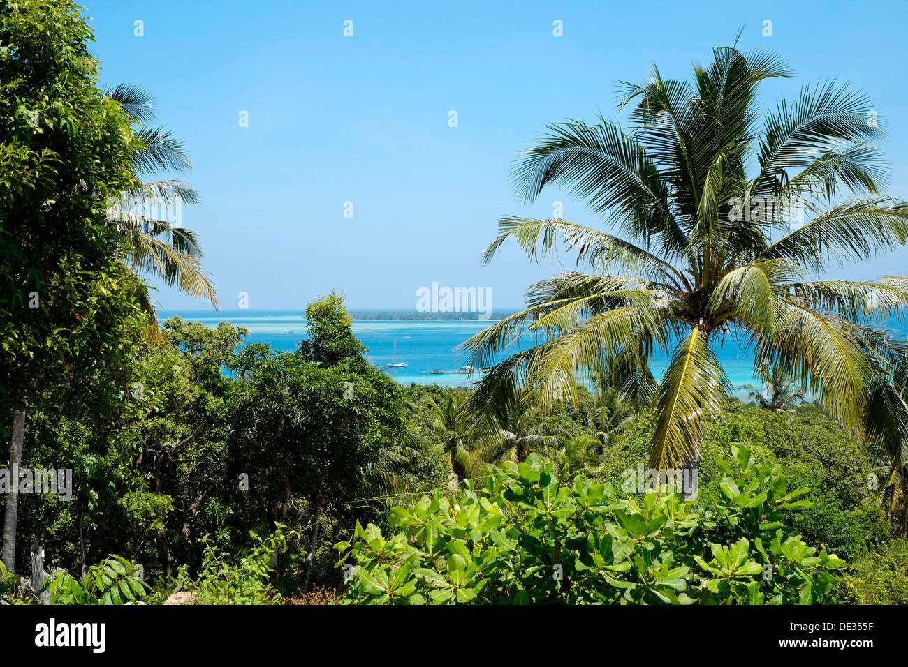 Vista attraverso gli alberi attraverso il blu profondo e il mare cristallino di isola Karimunjawa java indonesia Foto Stock