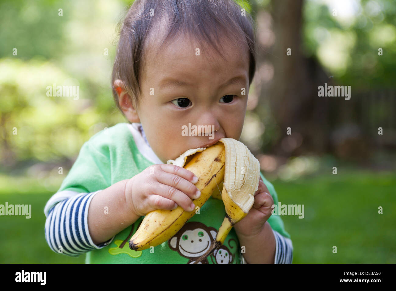 Asian baby boy mangiare una banana Foto Stock