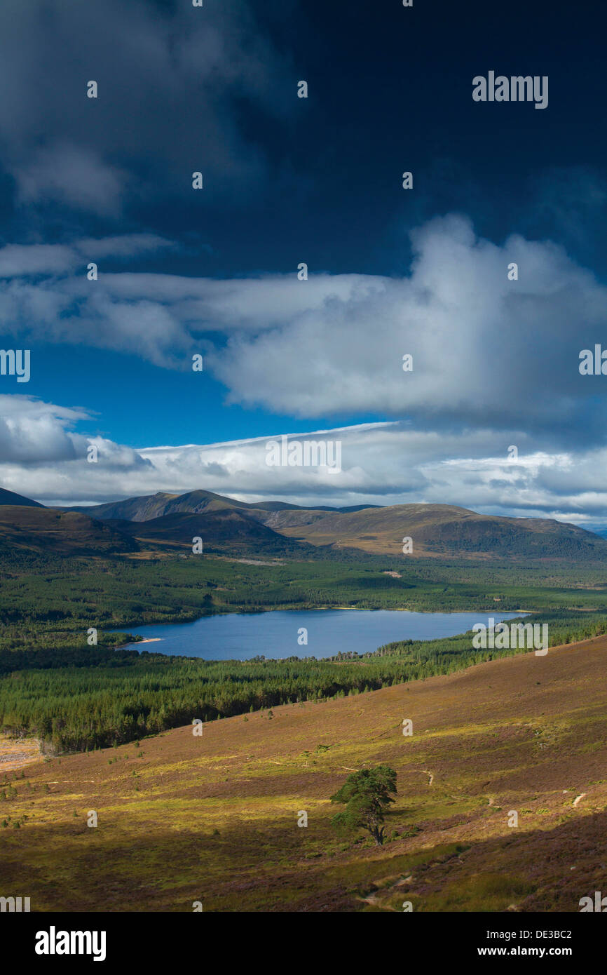 Loch Morlich e Rothiemurchus da Meall un Bhuachaille, Cairngorm National Park Foto Stock