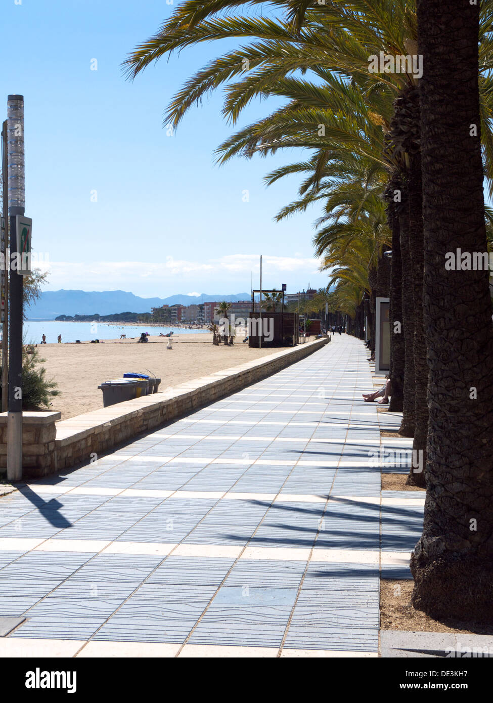 Fiancheggiata da palme marciapiede lungo il lato della spiaggia Foto Stock