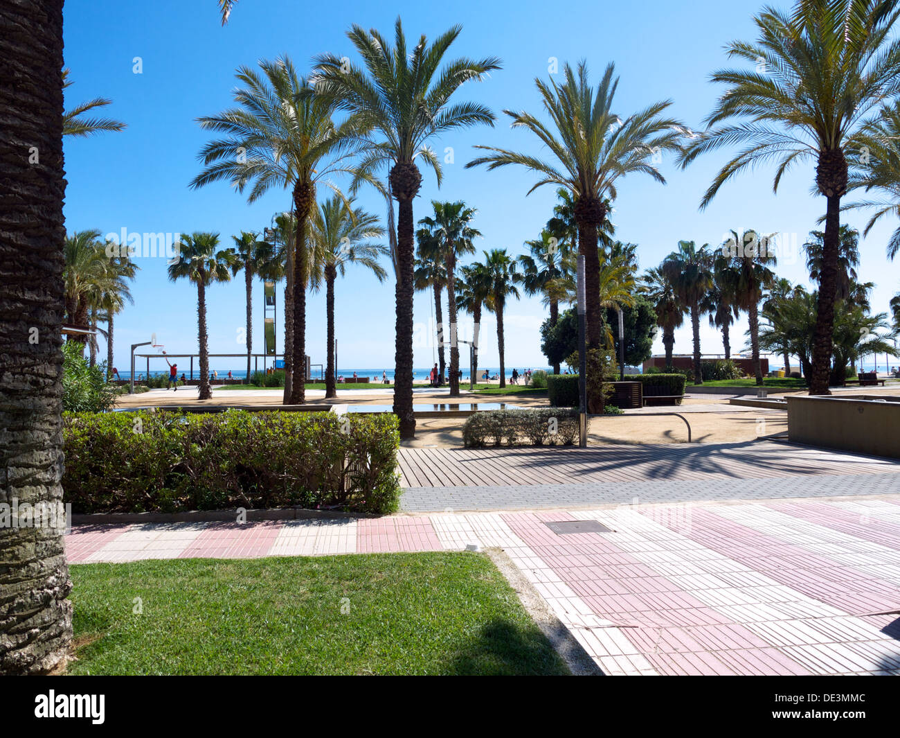Palm tree area pedonale a Salou in Spagna Foto Stock