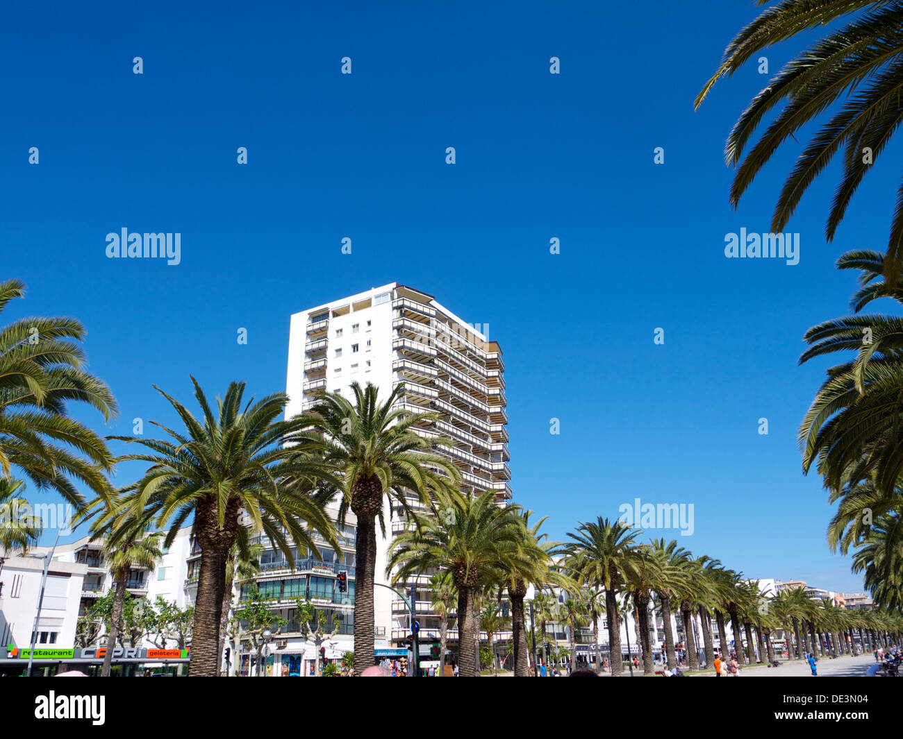 Palm strada alberata con un hotel in background ed un cielo blu chiaro Foto Stock