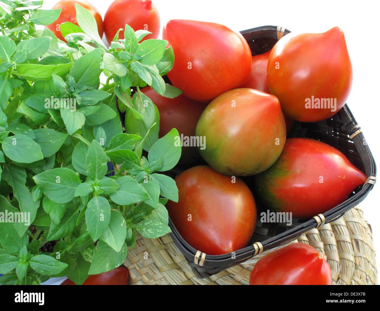 Pomodori y albahaca Foto Stock