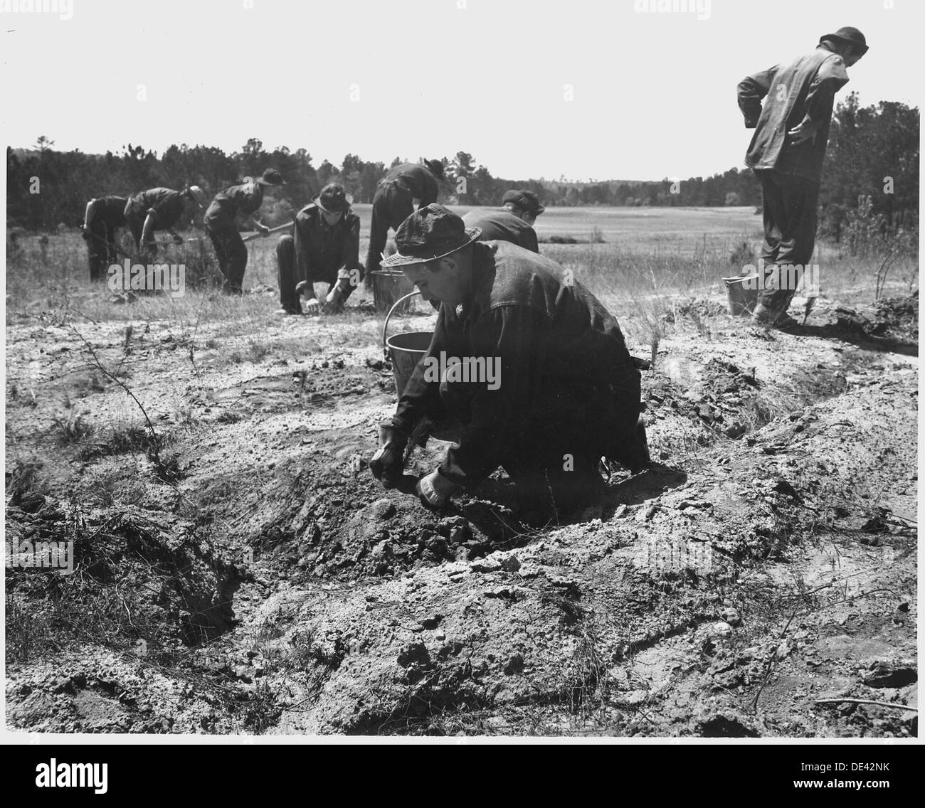 Newberry County, Carolina del Sud. CCC enrollees piantare le piantine di pino su W. W. Riser's Farm, Newbe . . . 522760 Foto Stock