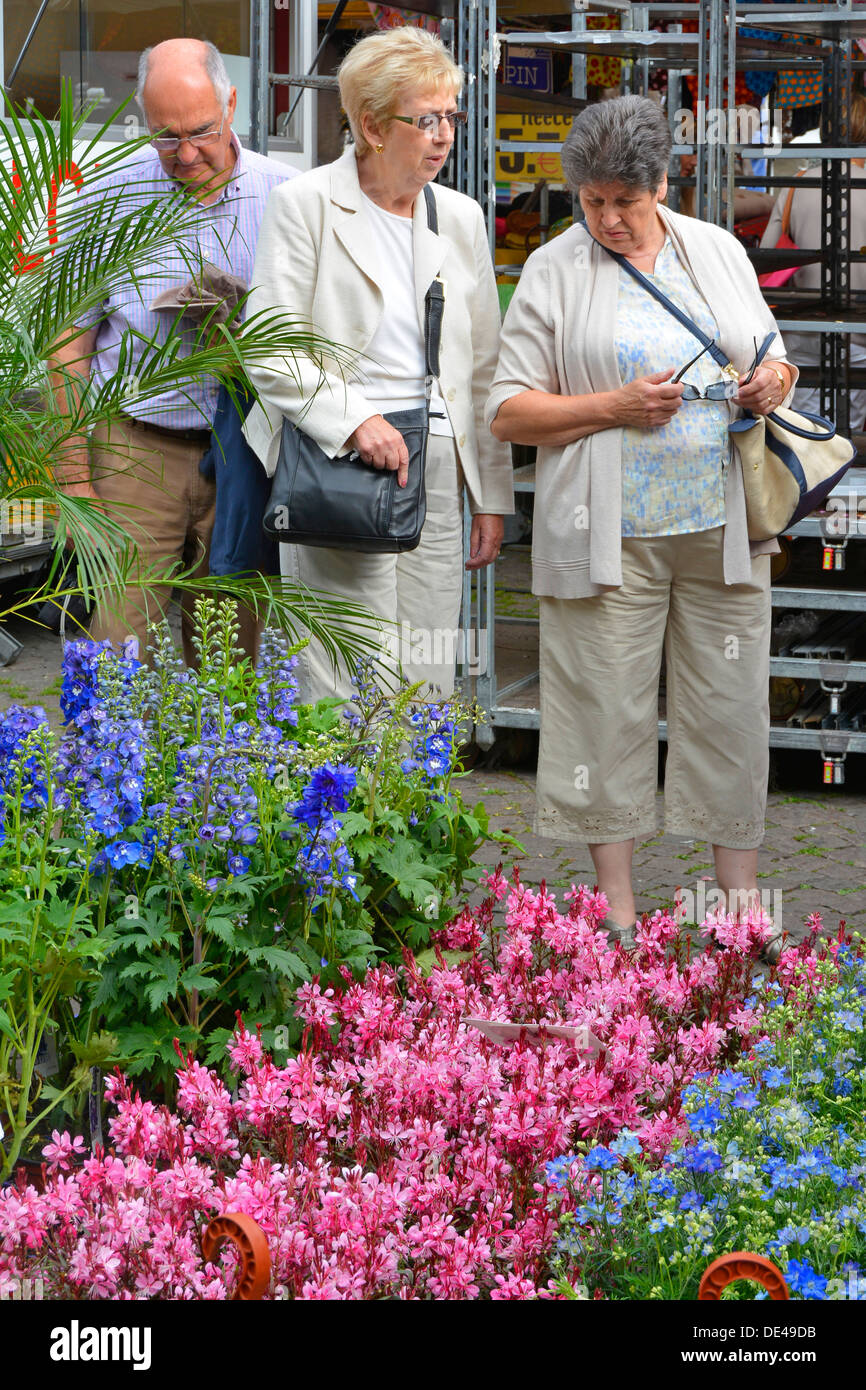 Maastricht City storico municipio mercato all'aperto fiori in vendita tre modelli di pensionati acquirenti che esplorano piante da giardino estive UE Foto Stock