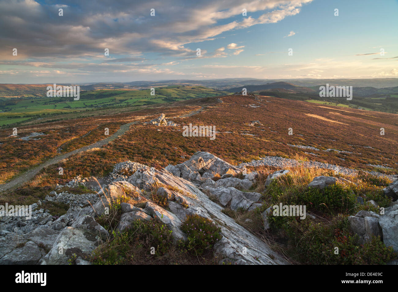 La vista su tutta la cresta Stiperstones nello Shropshire, Inghilterra Foto Stock