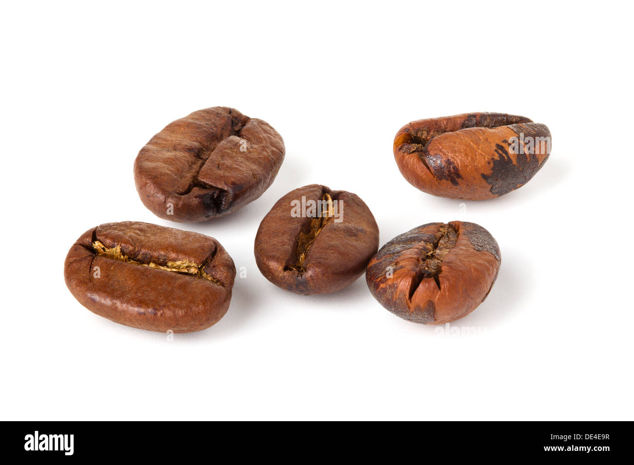 chicchi di caffè Foto Stock