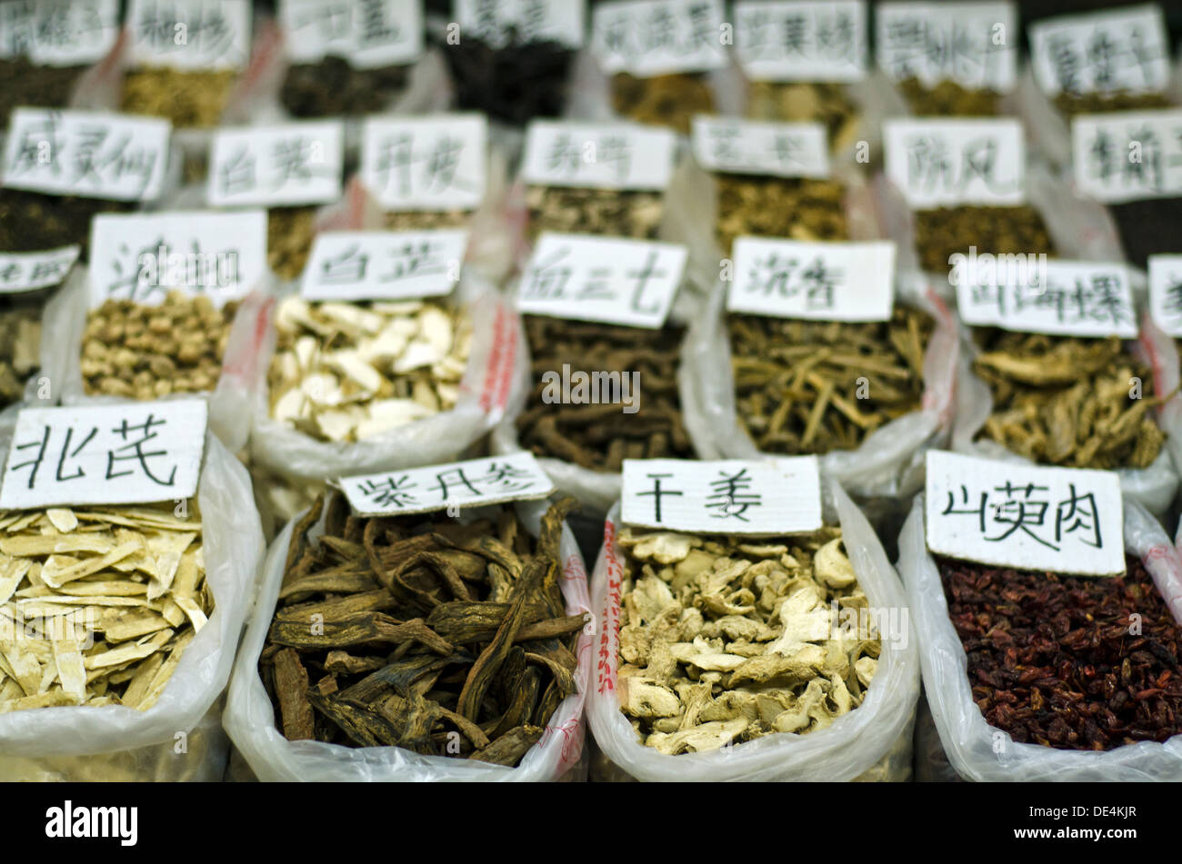 Medicina Qingping Mercato - Guangzhou , Cina Foto Stock