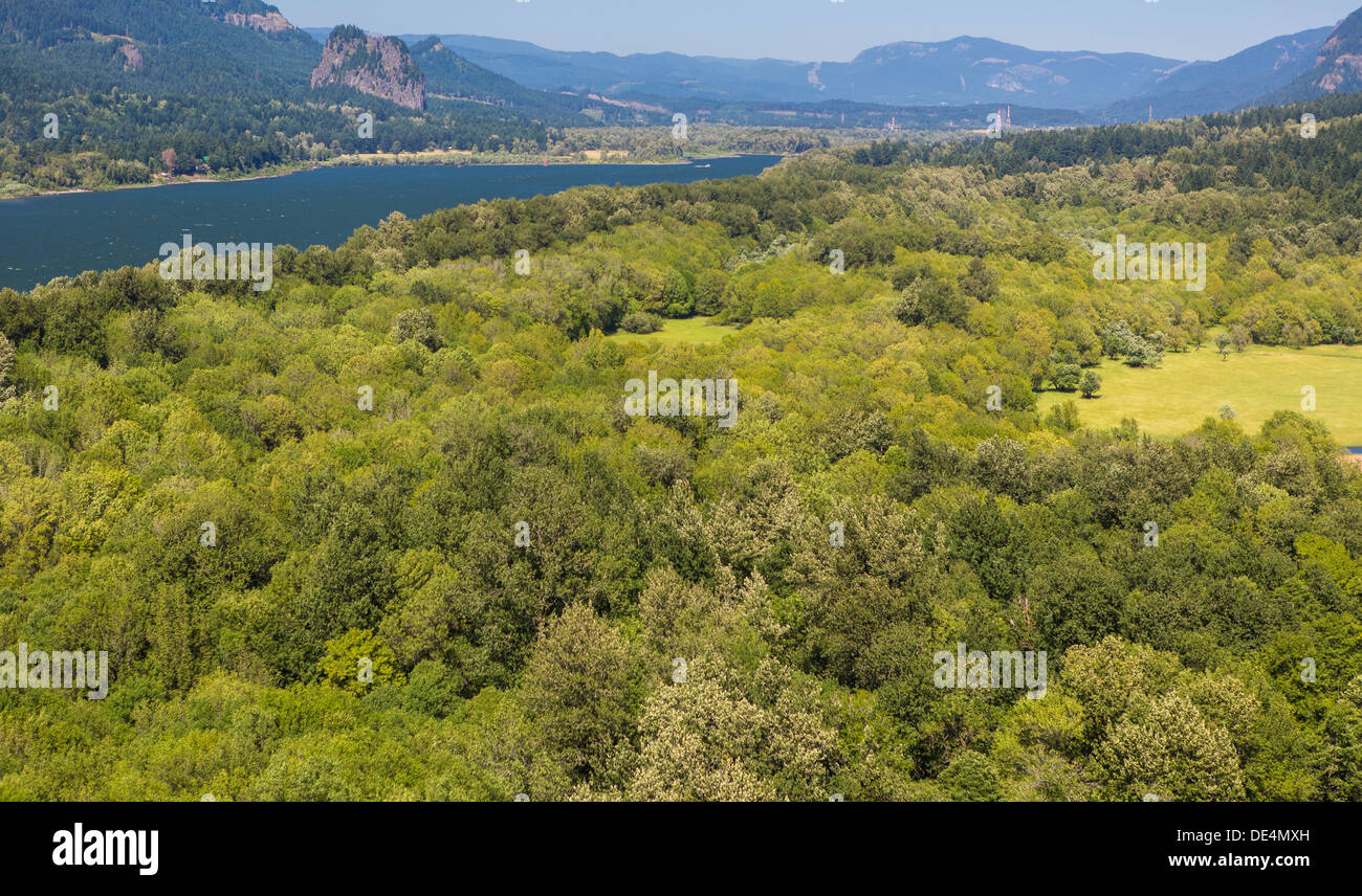 La Columbia River Gorge, OREGON, Stati Uniti d'America - Foto Stock