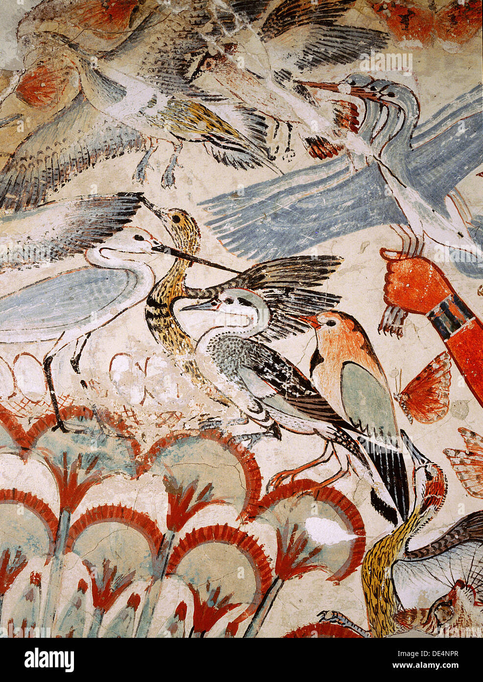 Egyptian Hunting Birds Immagini & Egyptian Hunting Birds Fotos Stock Alamy