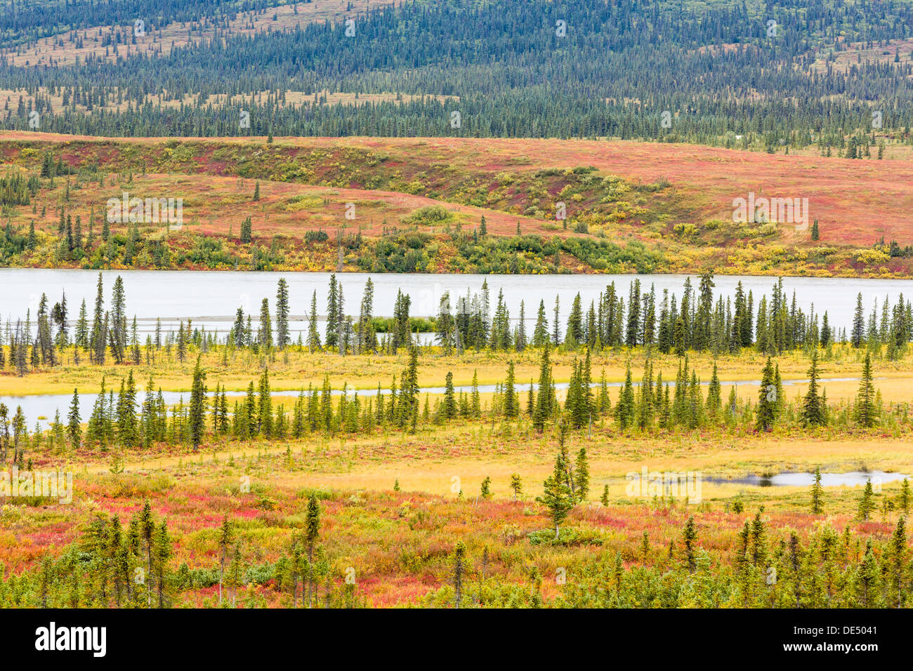 La Susitna River Valley e picco di colori autunnali e abeti lungo l'autostrada di Denali in Alaska centromeridionale. Foto Stock