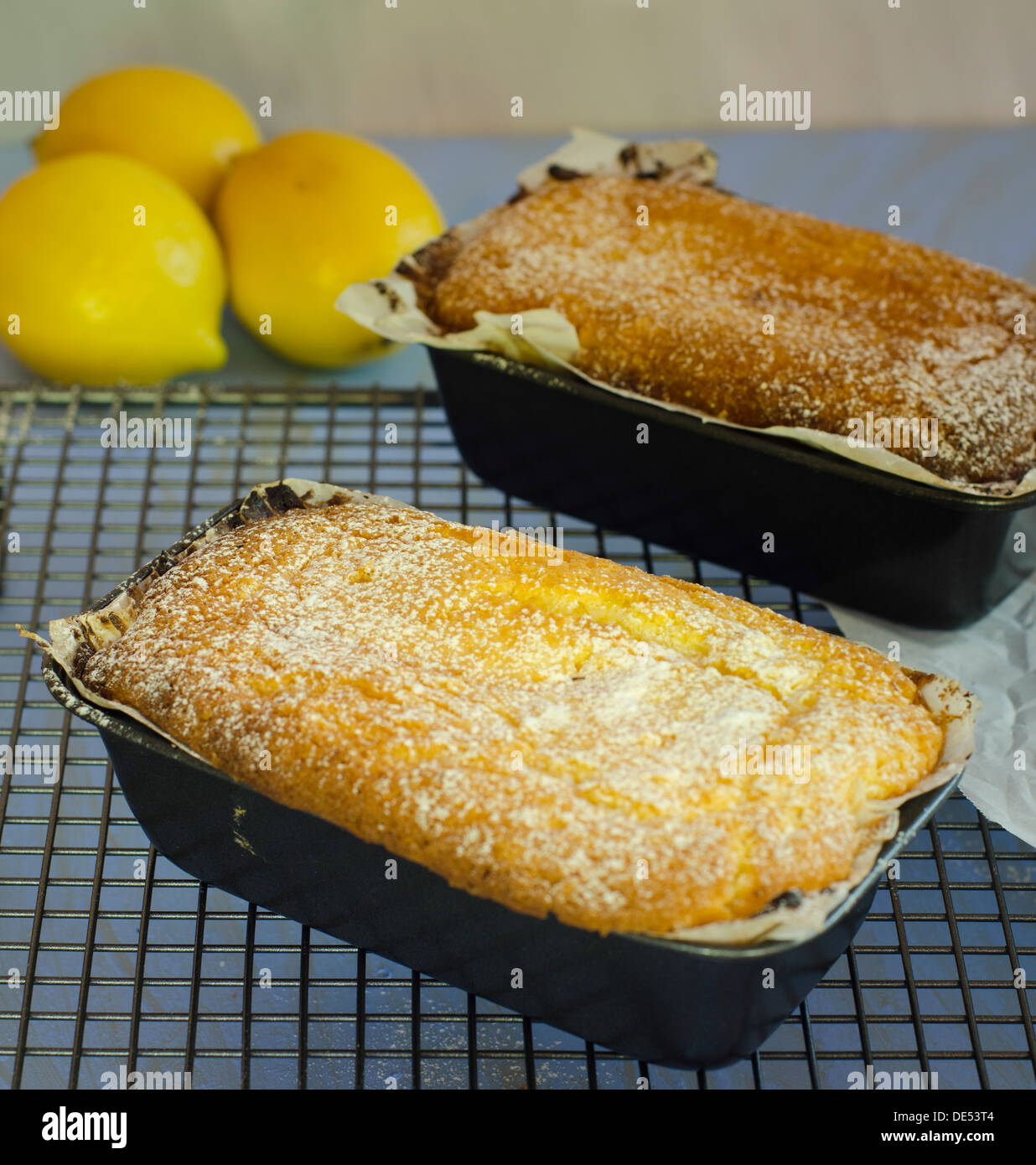 Golden Delicious appena sfornato torta al limone in una teglia da forno raffreddare su una griglia di metallo Foto Stock