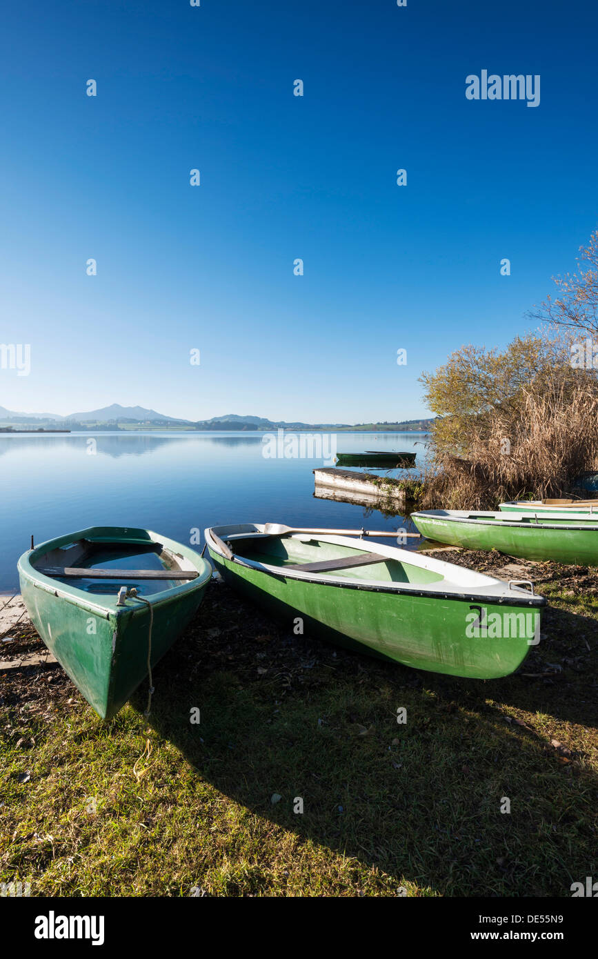 Barche a remi sulla riva del Lago Hopfensee vicino a Füssen, Ostallgaeu regione, Allgaeu, Bavaria Foto Stock