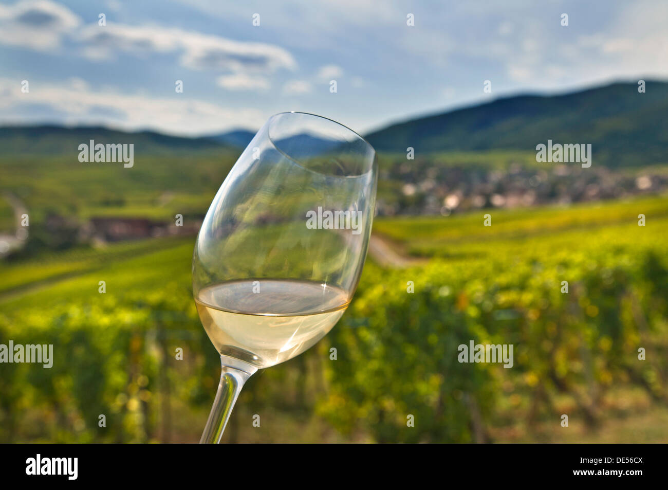 Vino bianco degustazione vetro vigneto Alsazia tra i caldi vigneti autunnali sopra il borgo medievale storico di Riquewihr Route des Vins Alsazia Francia Foto Stock