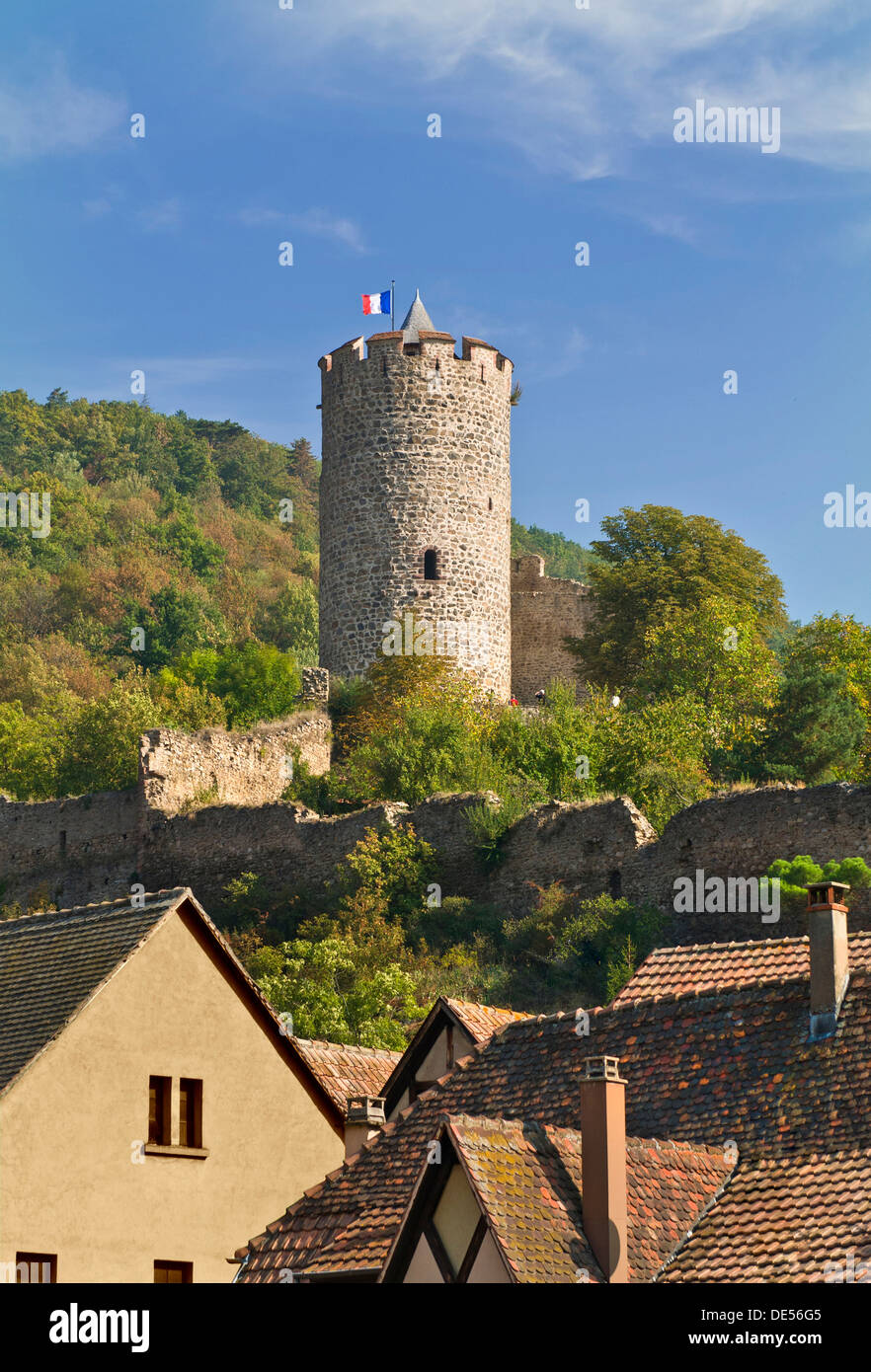 Kaysersberg Castello con bandiera francese impostato in vigneti sopra la città medievale di Kaysersberg Alsace Francia Foto Stock