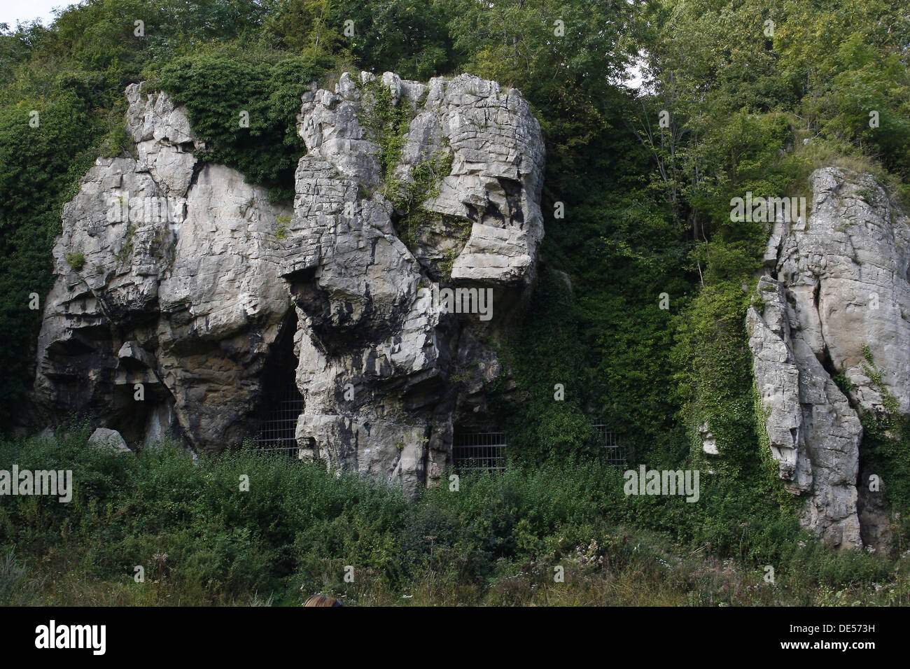 Creswell Crags, Welbeck, Worksop, Nottinghamshire, Regno Unito Foto Stock