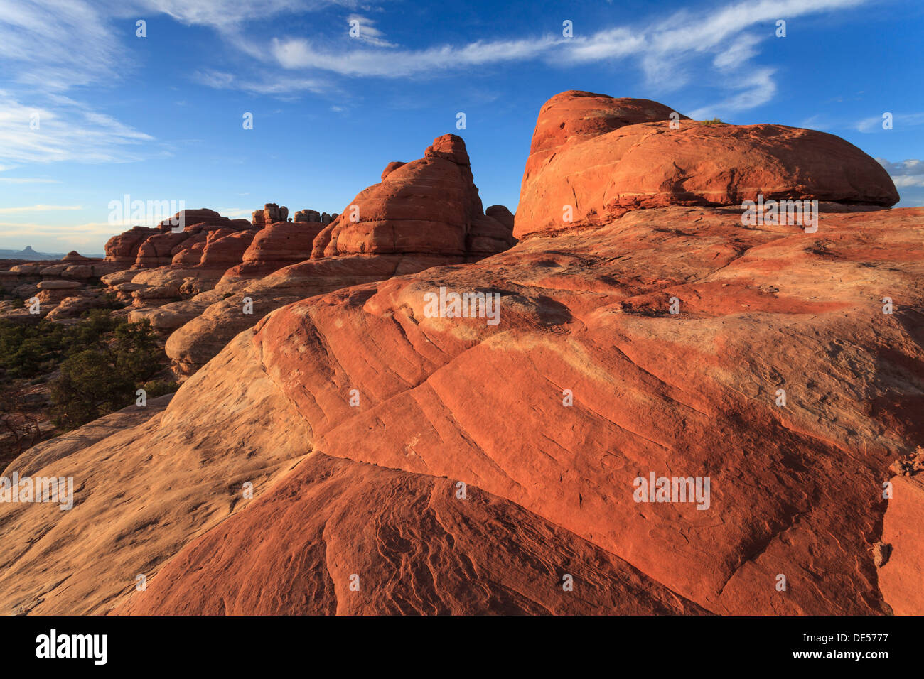 Red Rocks, il Parco Nazionale di Canyonlands Foto Stock