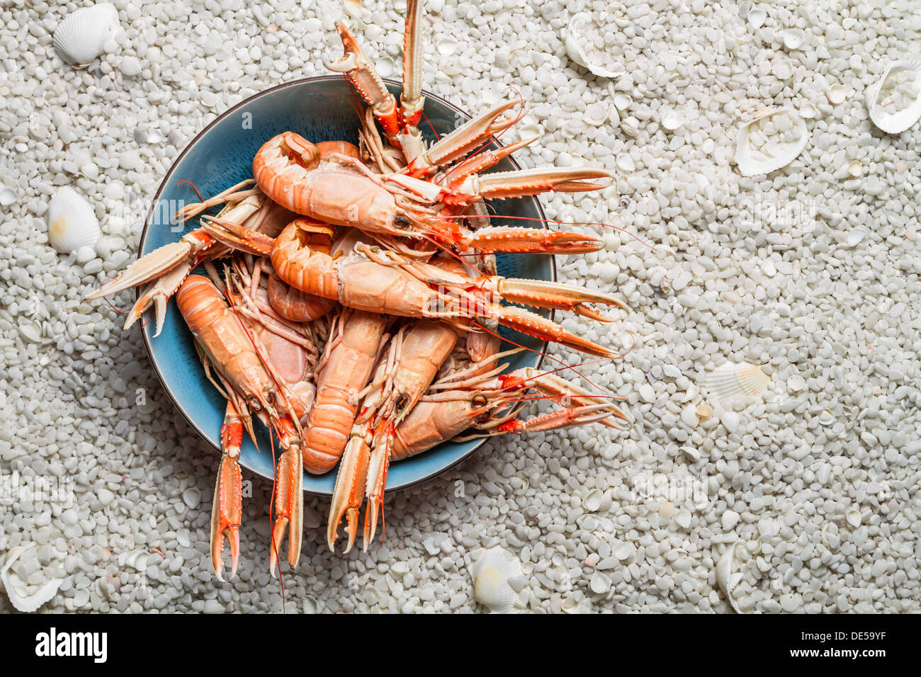 Scampi freschi serviti sulla spiaggia in una ciotola blu Foto Stock