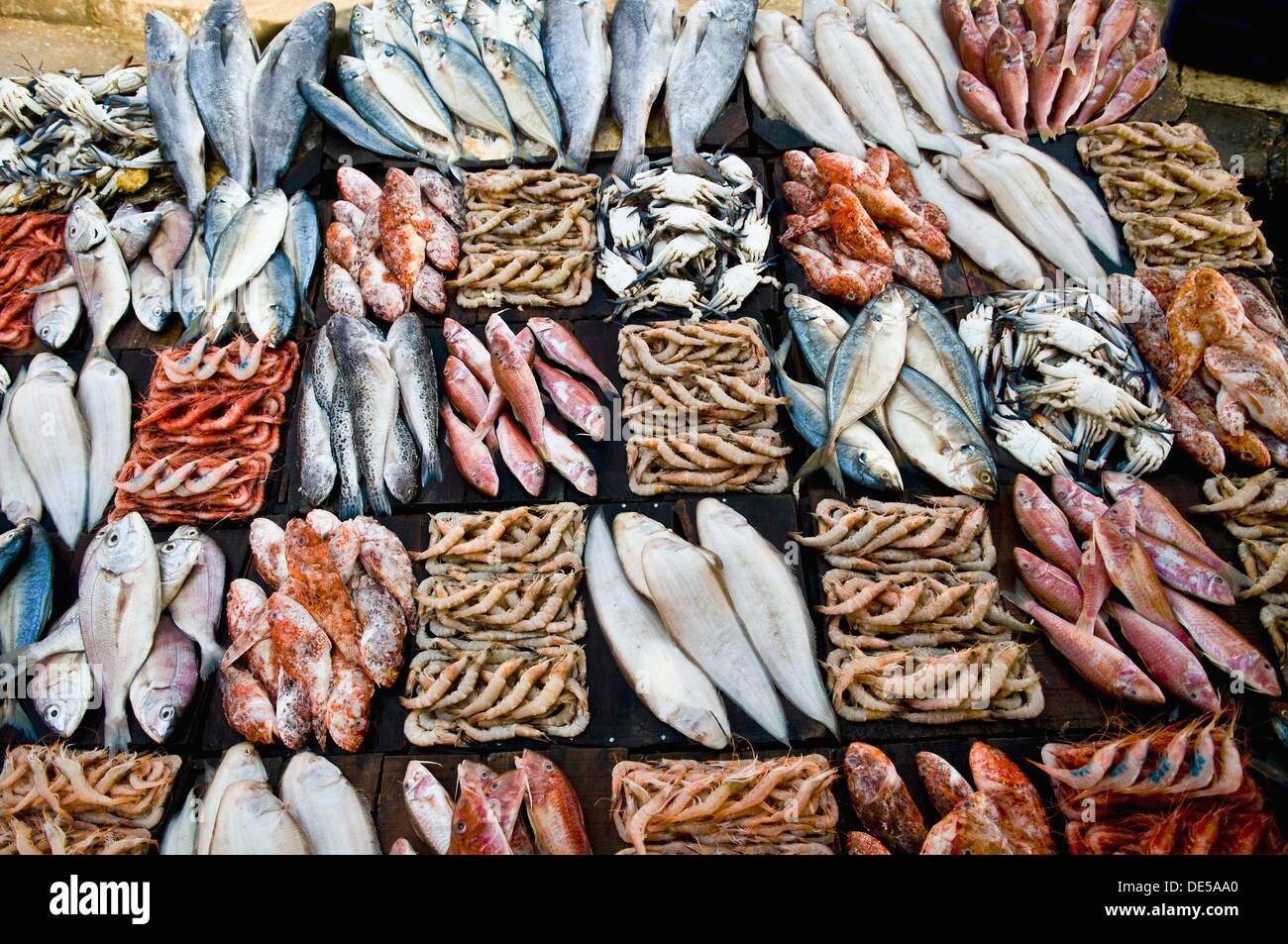 Pesce e frutti di mare freschi venduti nei locali di un mercato mattutino in Alessandria, Egitto. Foto Stock