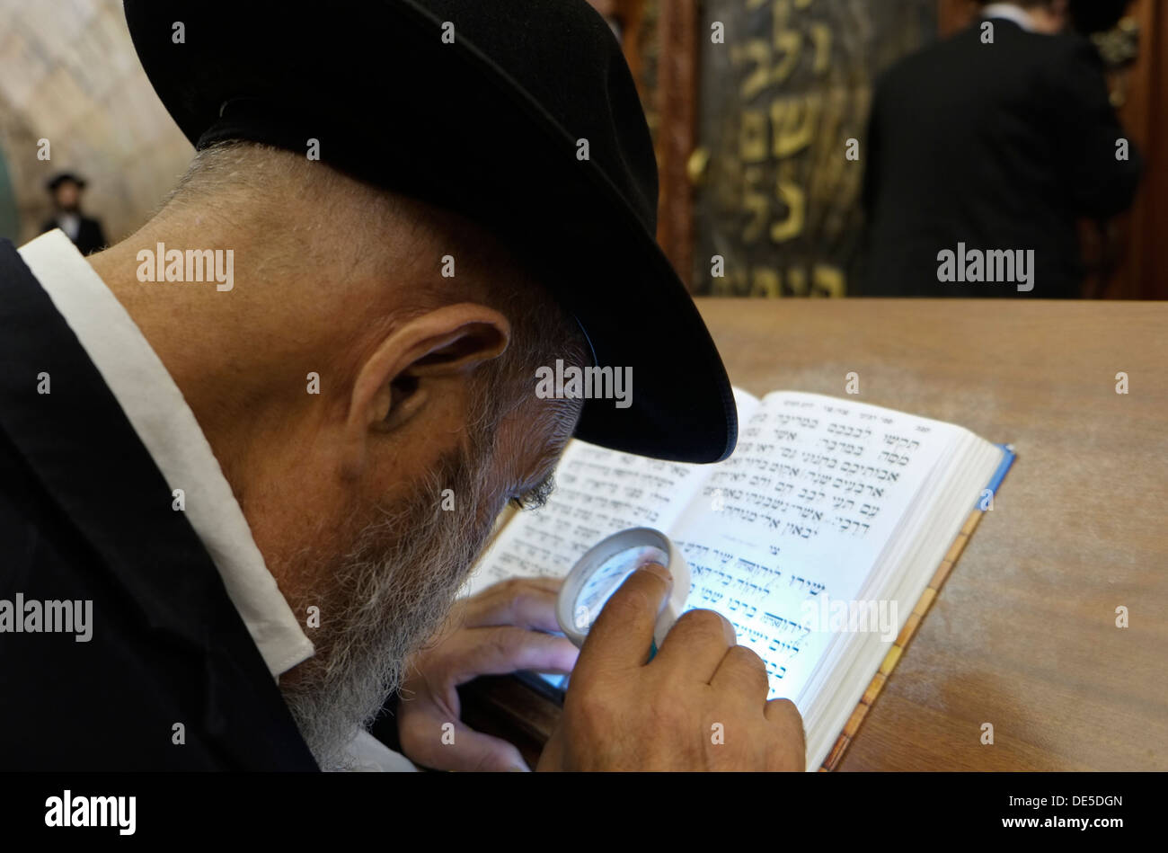 Ultra un ebreo ortodosso leggendo il Sidur libro di preghiera nella sinagoga del Muro occidentale di Gerusalemme Est Israele Foto Stock