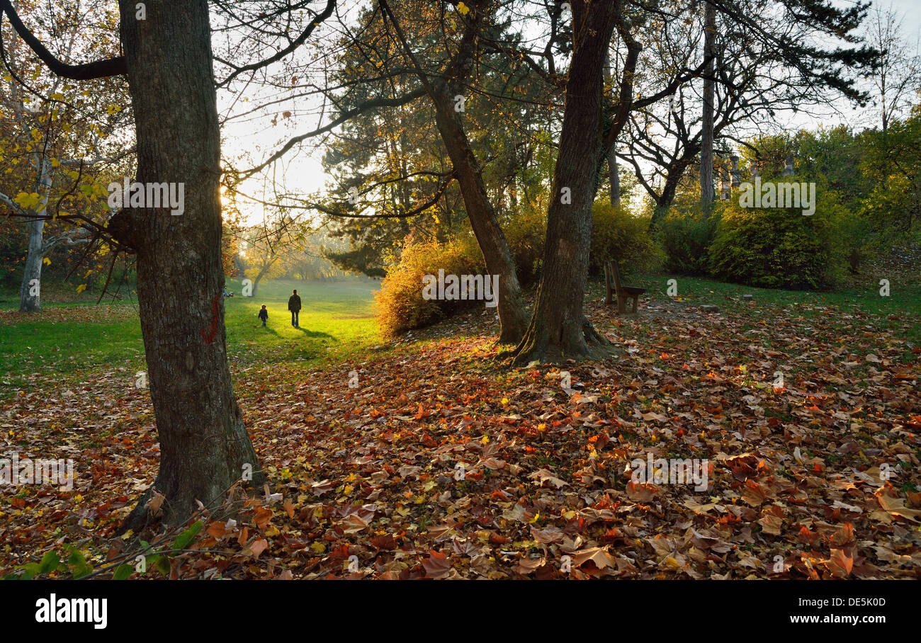 Autunno nel parco con caduta di foglie e di persone a piedi dietro Foto Stock