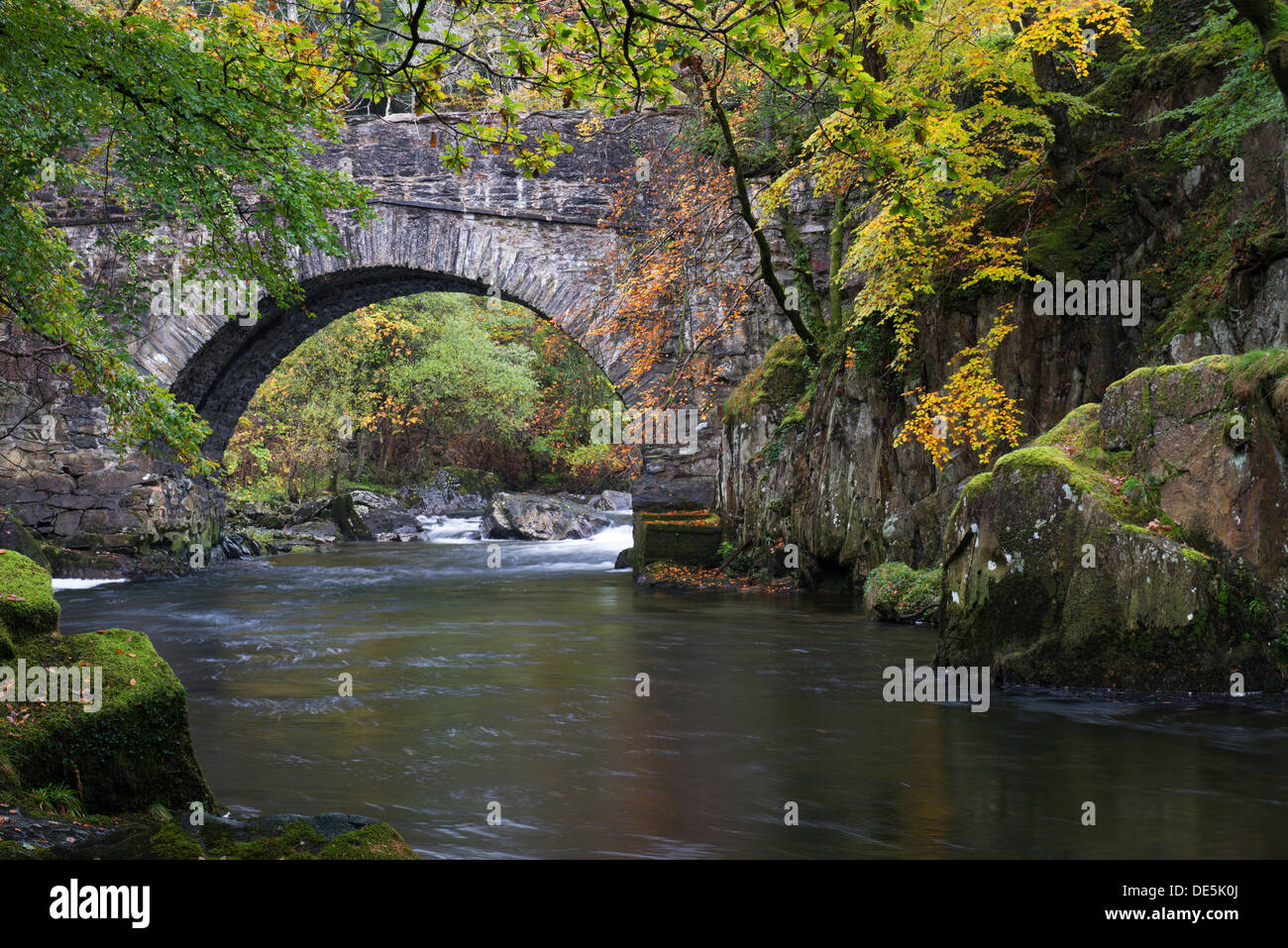 I colori autunnali sul fiume in corrispondenza di un ponte Sul Aber Glaslyn vicino Beddgelert, Snowdonia Galles del Nord Foto Stock