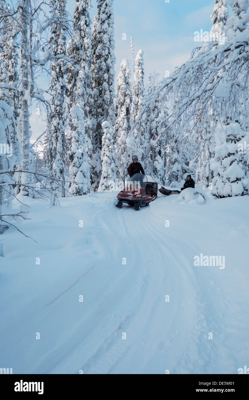 Una motoslitta le vie attraverso le foreste congelate del nord della Finlandia in inverno profondo Foto Stock