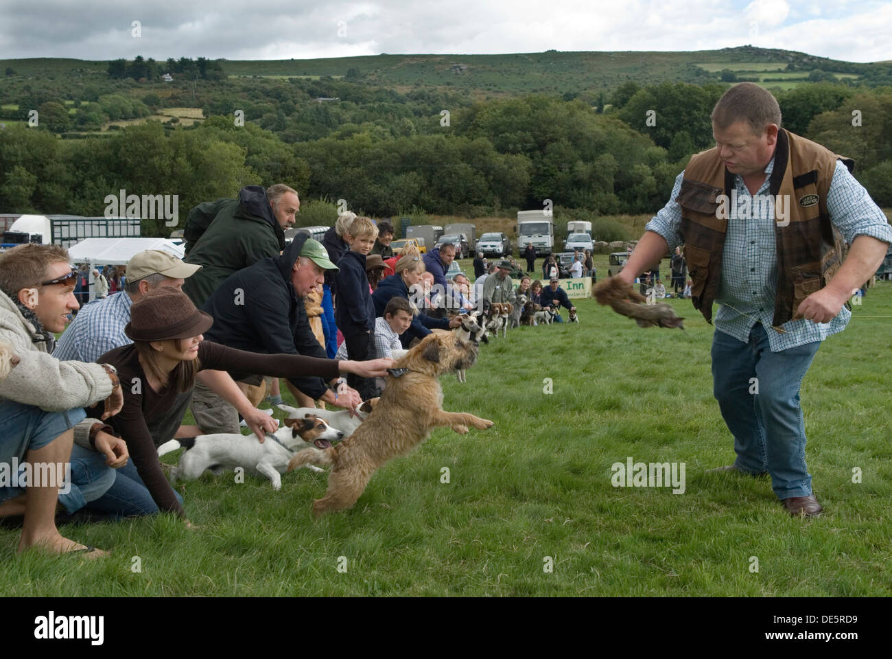 Terrier che corre alla fiera Widecombe, proprietari e loro terrier, l'uomo in piedi ha un "falso" coniglio in mano e scherza, eccitando i cani a dare la caccia. Widecombe nel Moor Dartmoor Devon Regno Unito. HOMER SYKES Foto Stock