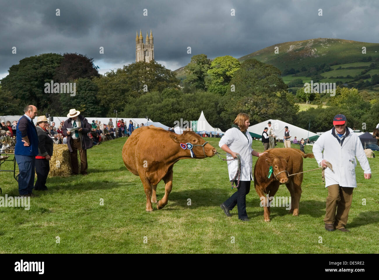 Widecombe Fair Devon. Premiazione dei migliori bovini della categoria e dei loro proprietari di agricoltori che raccolgono rosette. La chiesa di San Pancras. Widecombe nel Moor Dartmoor Inghilterra Regno Unito HOMER SYKES Foto Stock