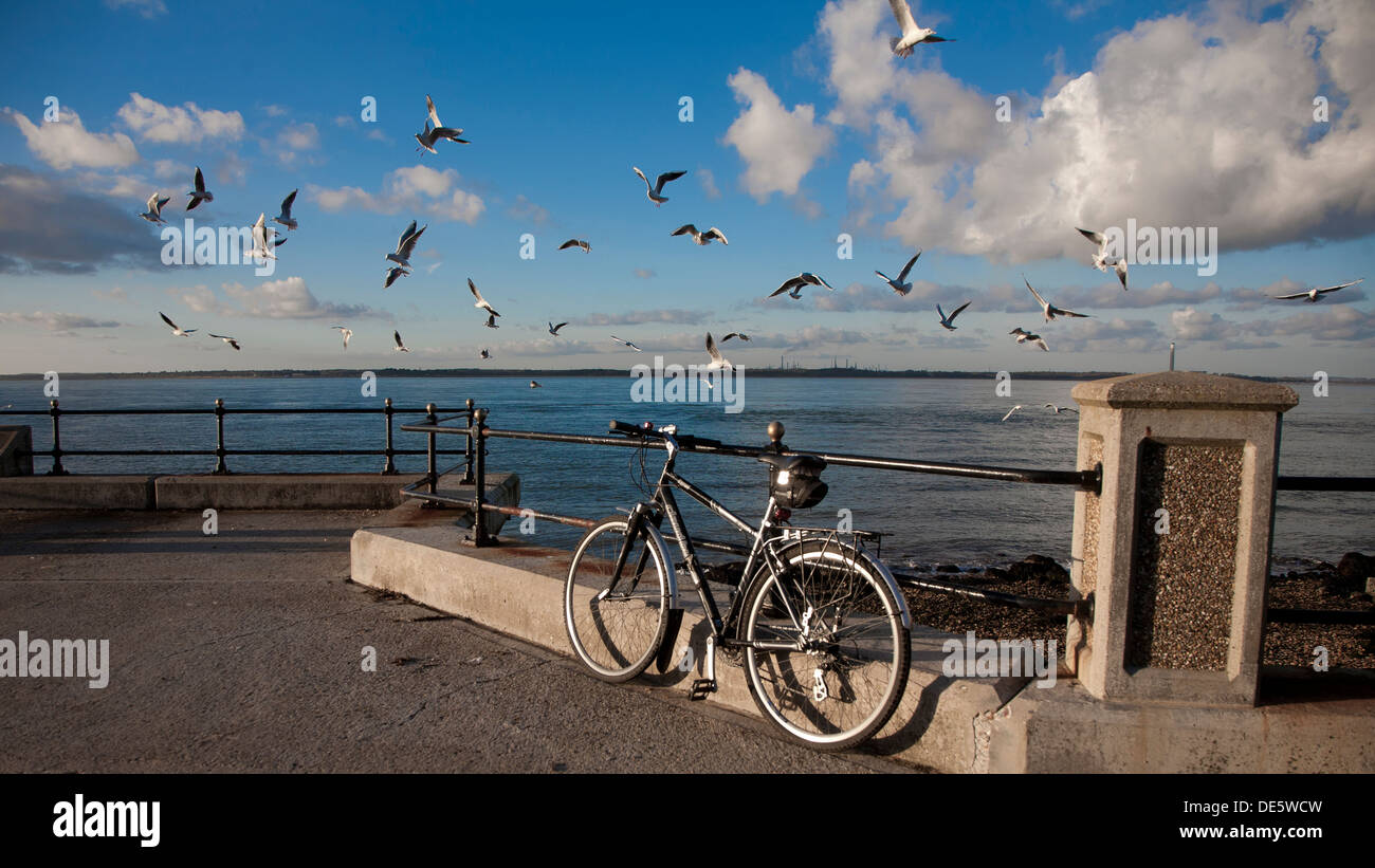 Noleggio mare gabbiani mare nuvole la Solent Cowes Isle of Wight England Regno Unito Foto Stock