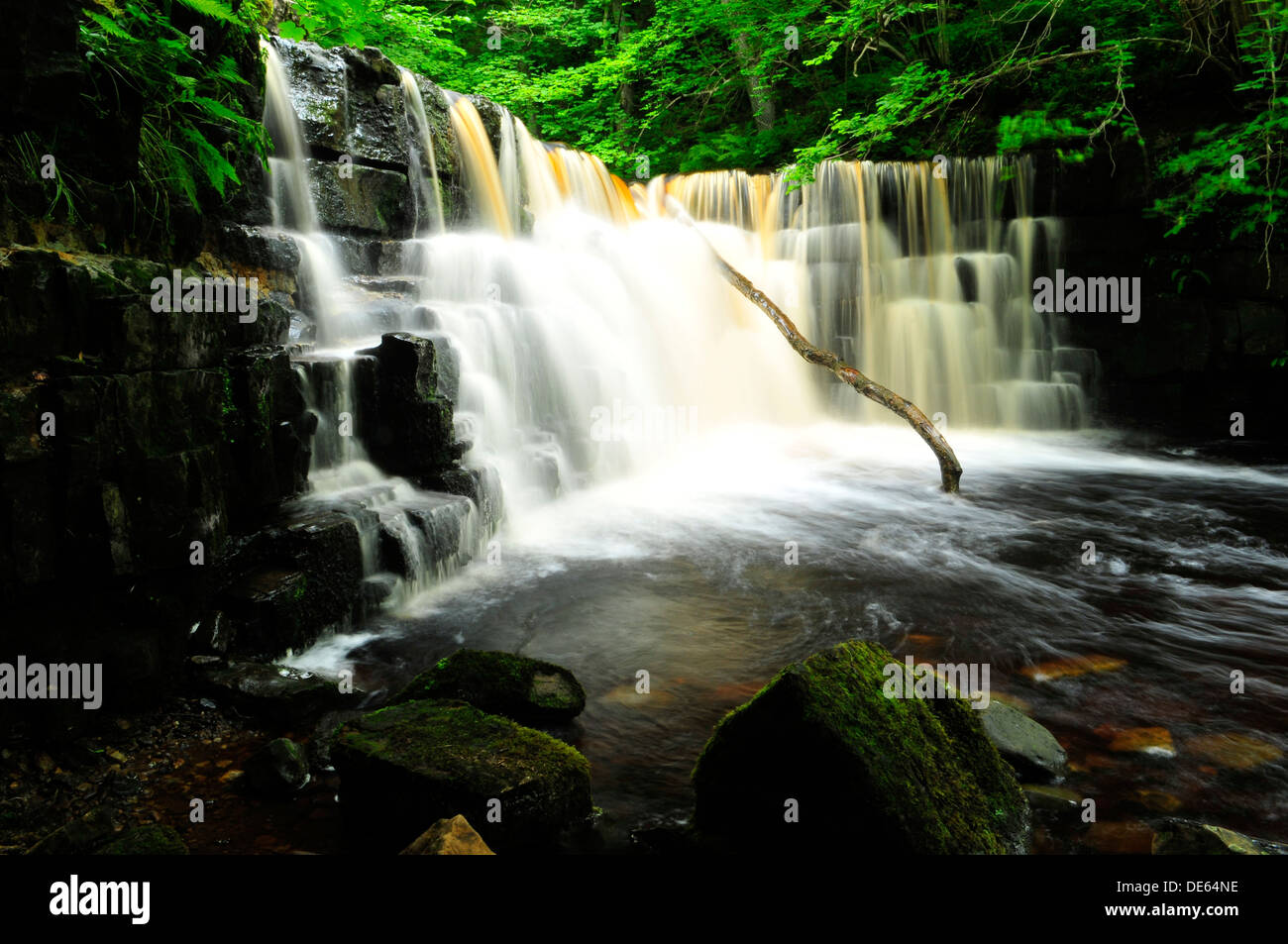 La cascata nel bosco (2) Foto Stock
