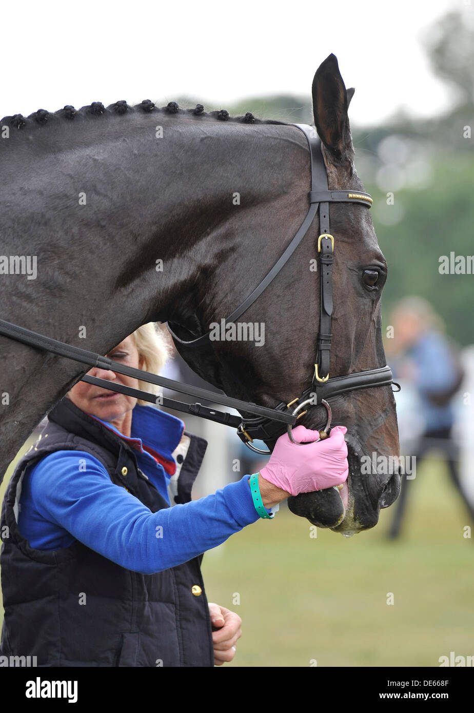 Il Palazzo di Blenheim Horse Trials, Woodstock, Oxford, UK. 12 settembre 2013. Bocca del Cavallo e ispezione di adesività da ufficiali durante il CIC*** Dressage fase. Credito: Julie Badrick/Alamy Live News Foto Stock